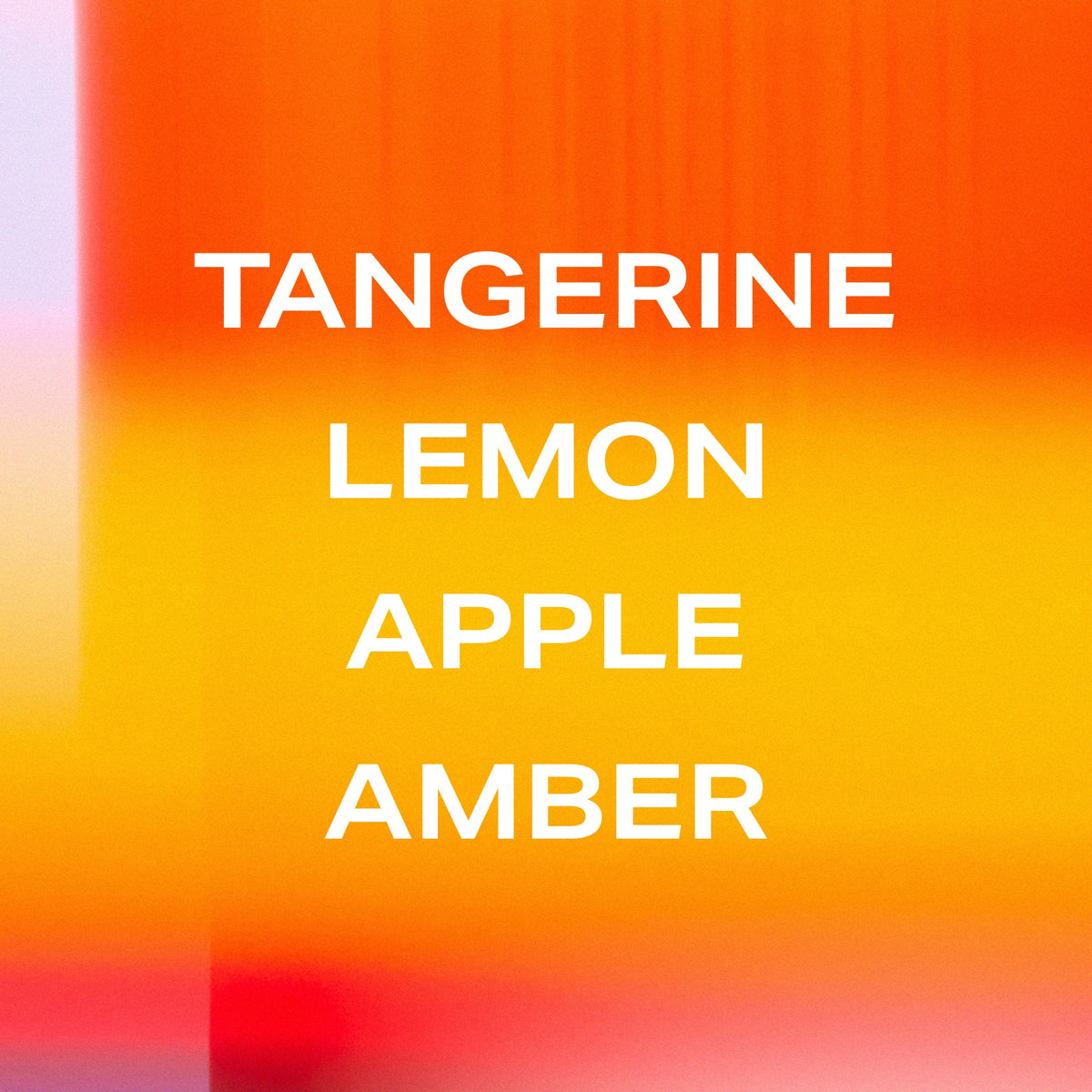 Tangerine Boy Eau de Parfum Travel Spray