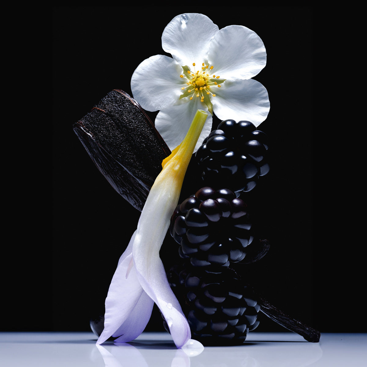 Vanilla Blackberry Travel Size Body Mist - Mini Fragrance Spray
