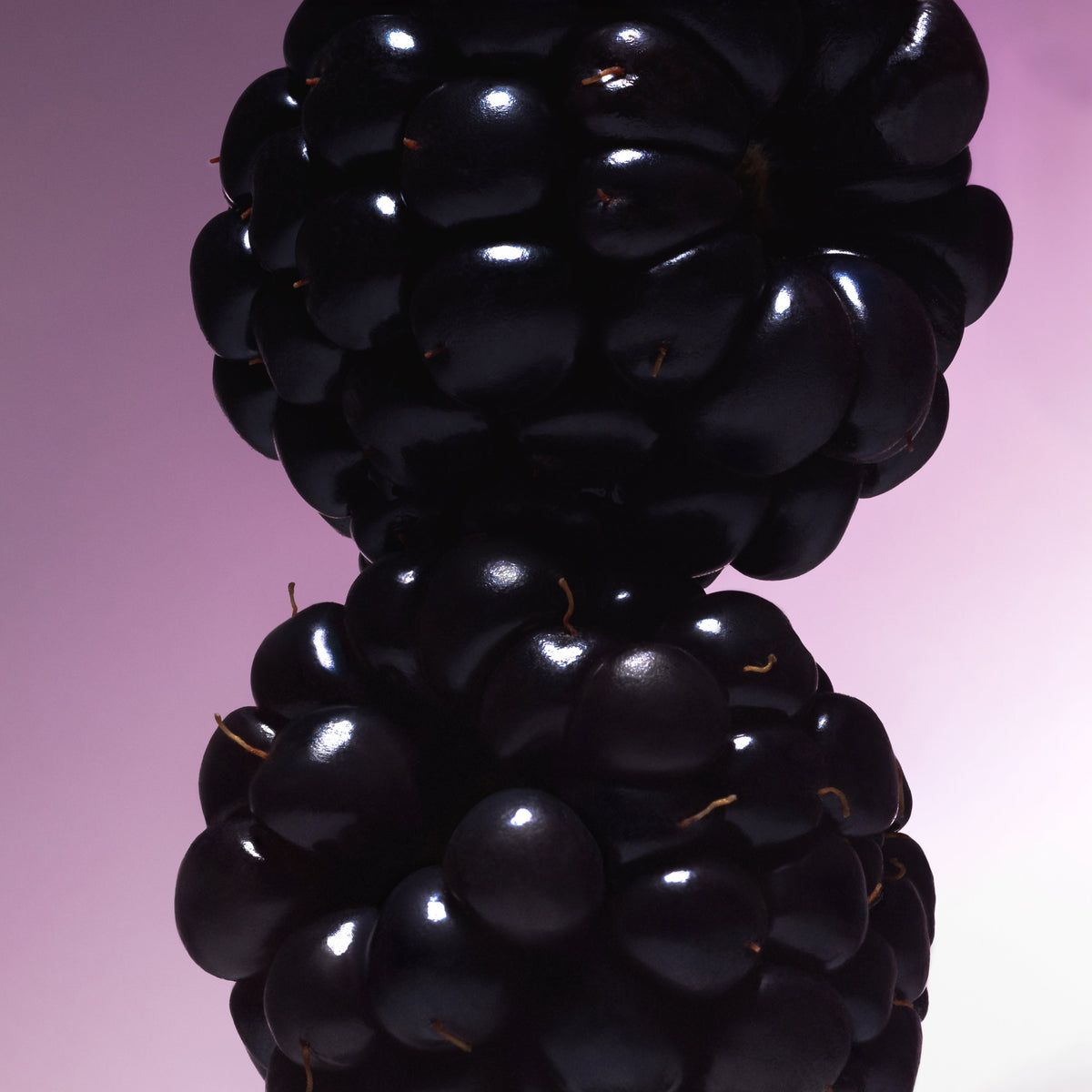 Vanilla Blackberry Body Mist - Full Size Fragrance Spray