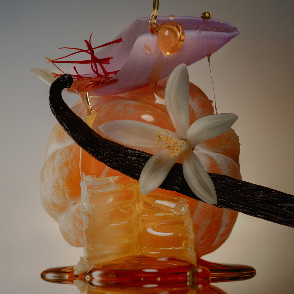 Honey Moon - 50mL Eau de Parfum